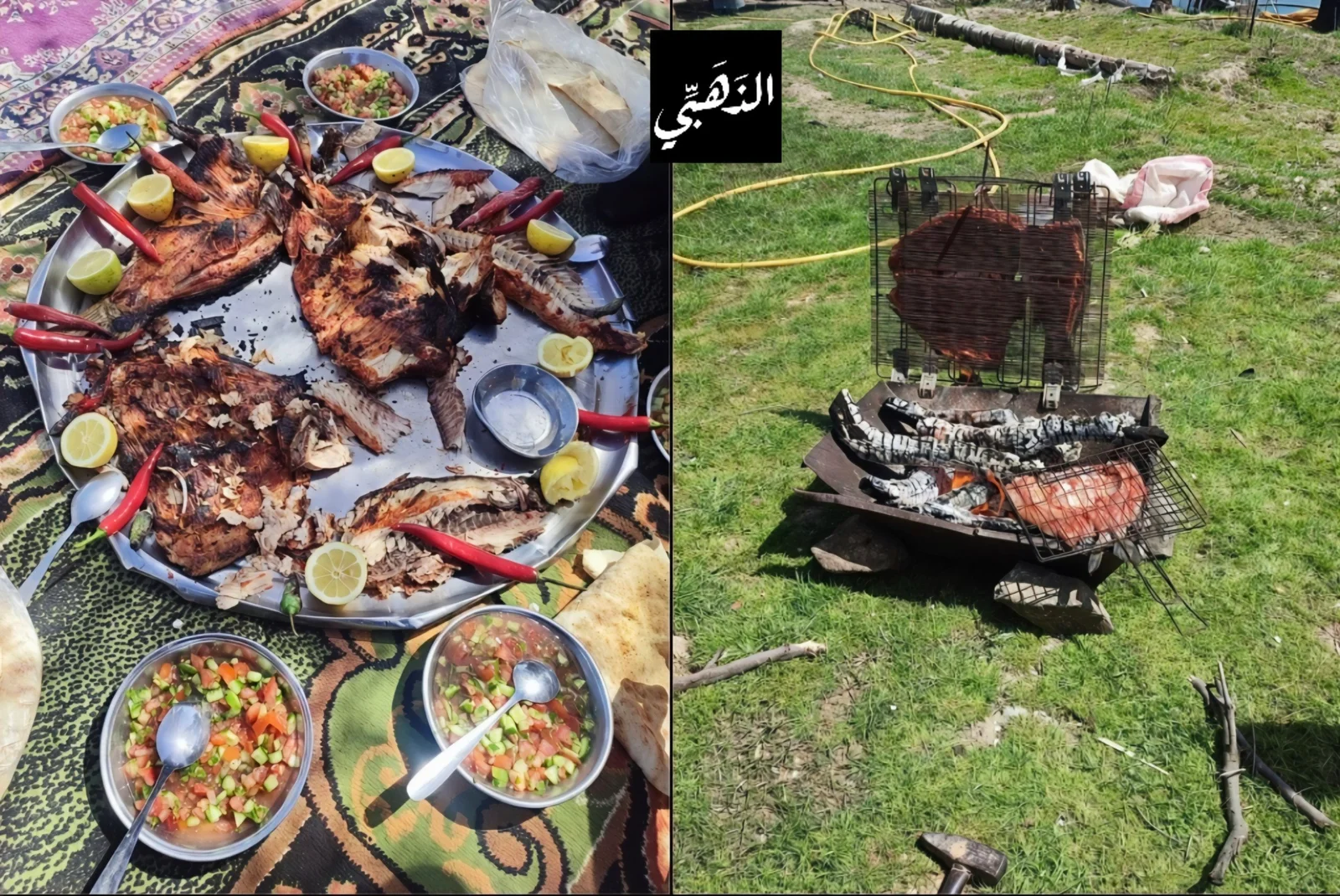 توزيع الحجاب الشرعي والستر في حلب - سوريا (أبريل 2026)