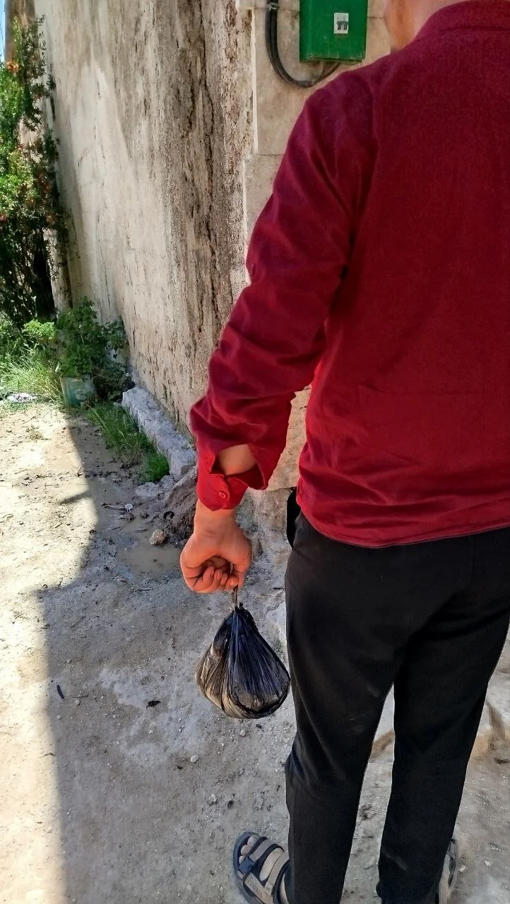 اقدام بشردوستانه میدانی در غزه