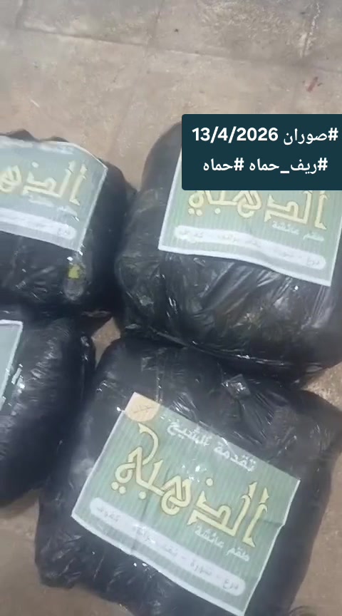 توزيع الحجاب الشرعي والستر في حماة - سوريا (أبريل 2026)